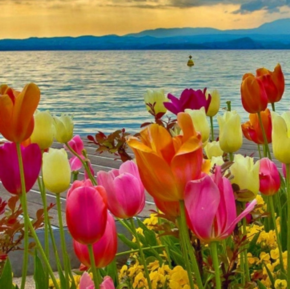 Meet your Posher, Robyn